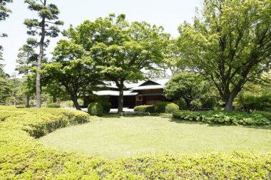 Evi olan güzel bir Japon bahçesi. 