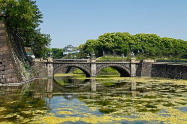 Yeşil Park 'ta nehir üzerindeki köprü.