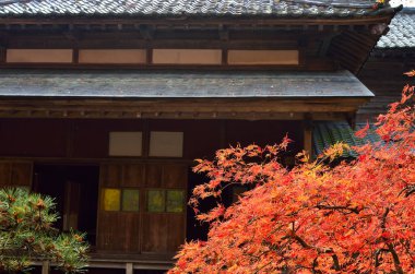 Antik tapınak binası, Asya mimarisi