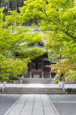 Antik tapınak binası, Asya mimarisi