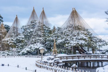 Japon geleneksel bahçesi 