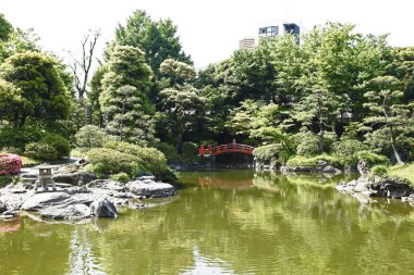 Güzel bir göl manzarası ve Japon bahçesi.                