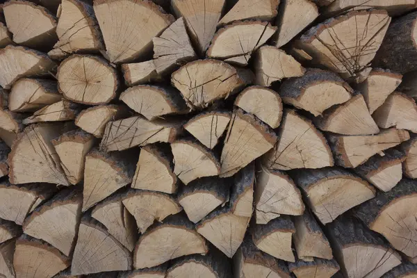 Haufen Von Gestapeltem Brennholz Wald — Stockfoto