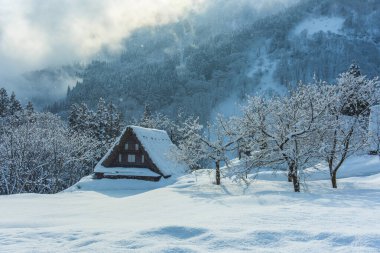 Shirakawago köyü - Japonya 'da kış manzarası. unesco Dünya Mirası