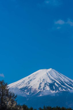 Japonya 'daki görkemli Fuji dağının güzel manzarası