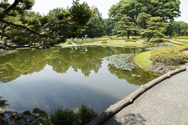 Yeşil bitki örtüsü ve sakin gölü olan güzel bir park. Japon bahçesi.        