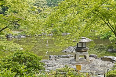 Yeşil bitki örtüsü ve sakin gölü olan güzel bir park. Japon bahçesi.        