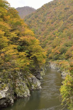 Dağlardaki nehrin güzel sonbahar manzarası