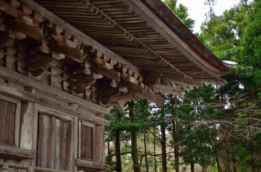 Yeşil ormandaki ahşap tapınak 