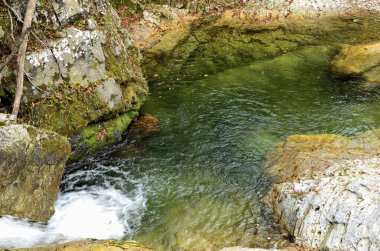 Ormanda güzel bir şelale