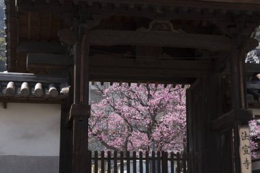 Geleneksel Budist tapınağı, Japonya, Asya