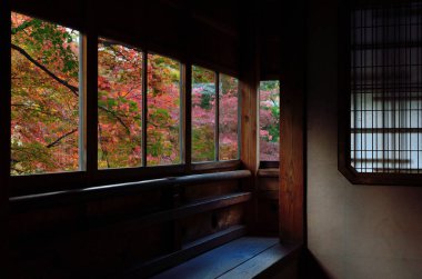 Pencereli güzel sonbahar manzarası