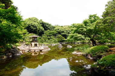 Yeşil bitki örtüsü ve sakin gölü olan güzel bir park. Japon bahçesi.        