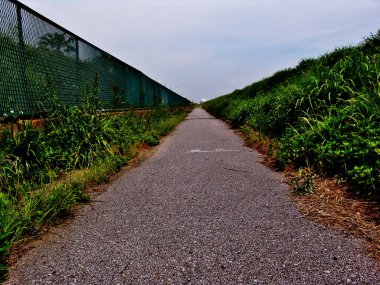 Kırsalda yeşil bitkileri ve çitleri olan boş bir yol.  