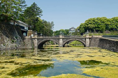 Bereketli ağaçların yanındaki hendeğe yayılan tarihi taş köprü.