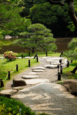 japanese garden with green trees and pond 