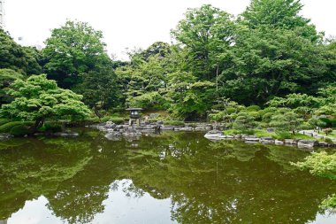 Yeşil bitki örtüsü ve sakin gölü olan güzel bir park. Japon bahçesi.        