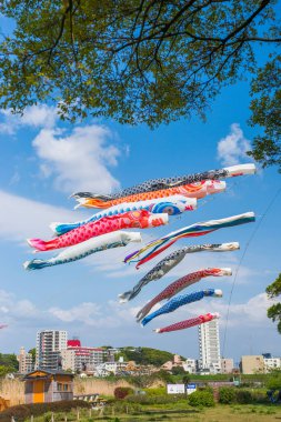 Japon koinobori ya da açık havada sazan balığı görüntüsü.                