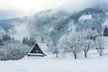 Shirakawago köyü - Japonya 'da kış manzarası. unesco Dünya Mirası