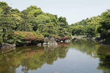 Güzel bir göl manzarası ve Japon bahçesi.                