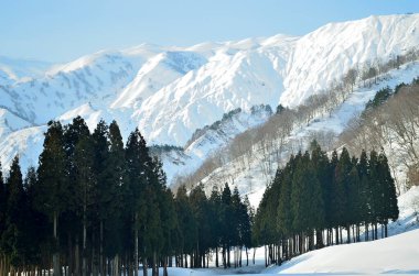 Karlı dağları olan güzel bir manzara. Doğa arkaplanı