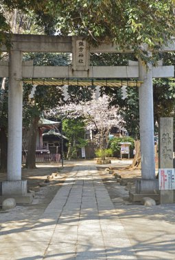 Baharın başında tapınağı olan eski Japon bahçesinin detaylı görüntüsü