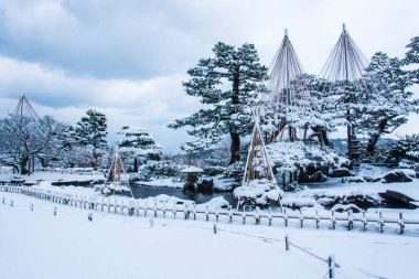 Japon geleneksel bahçesi 