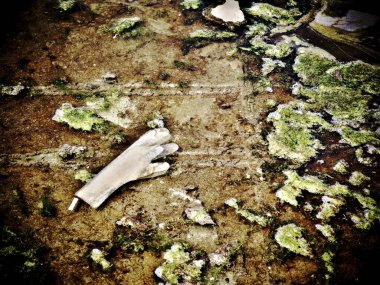 Kirli su yüzeyine atılmış eldiven yosunlarla kaplı.