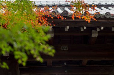 Sonbahar yaprakları ve görünür yeşil dalları olan geleneksel ahşap çatı