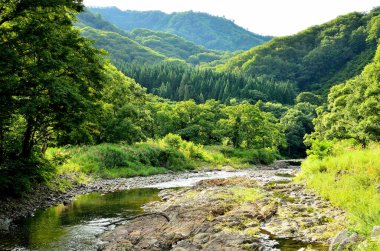 Dağların güzel manzarası