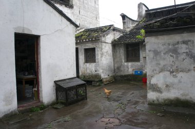 Beyaz duvarları olan eski püskü bir avlu yosunlu çatılar dağınık nesneler tavuk gibi dolaşıyor.