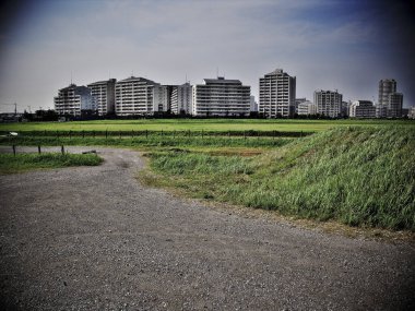 Parkta binalar ve yeşil çimlerle dolu bir yol.