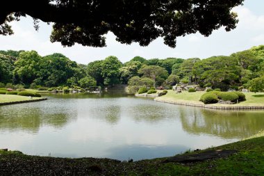 Yeşil bitki örtüsü ve sakin gölü olan güzel bir park. Japon bahçesi.        