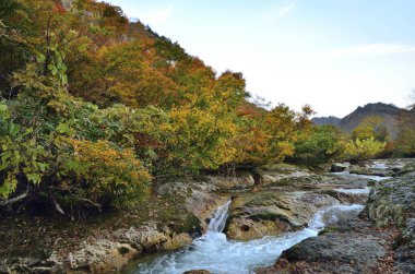 Ormandaki güzel şelale. Sonbahar manzarası.