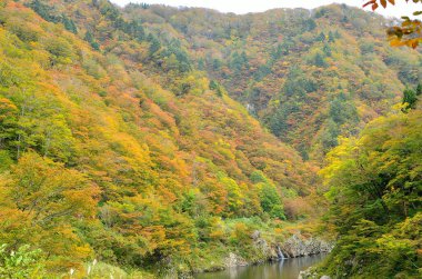 Dağlardaki nehrin güzel sonbahar manzarası