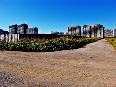 Çayırdaki şantiyeye giden yol manzarası