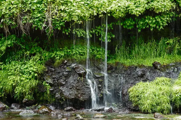 自然の背景にある森の中の日本の滝 — ストック写真