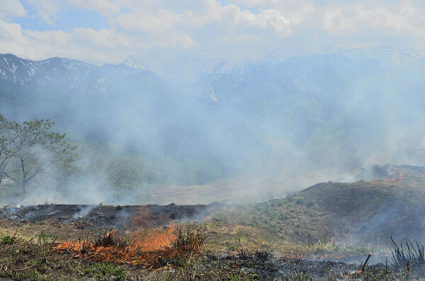 fire in the forest with mountains 