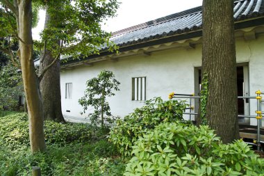 Yeşil bitkiler ve ağaçlarla çevrili beyaz bina