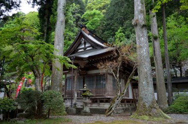 Asya 'daki Çin tapınağının manzarası