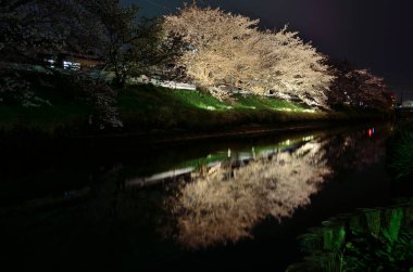 Parktaki nehir manzarası