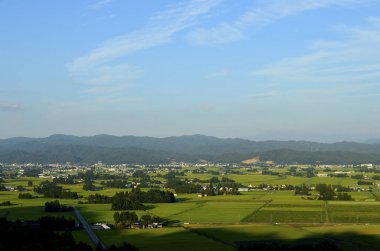 Japonya 'nın pirinç tarlaları ve köyü.