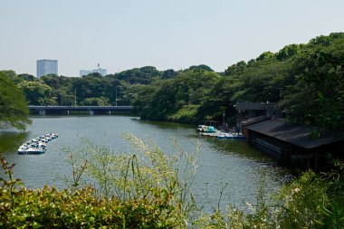 Şehir parkındaki güzel göl manzarası 