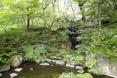 Ormandaki güzel temiz nehir, doğa manzarası.