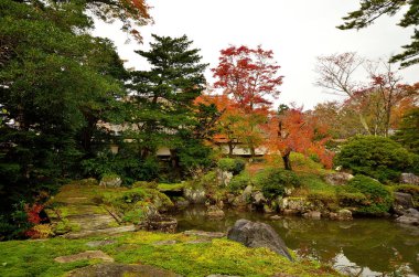 Japon bahçesi, gölet, kyoto, japon