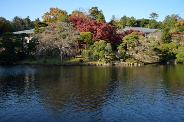 Güneşli bir günde gölet ve renkli ağaçlarla güzel bir park manzarası.  