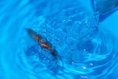 Mavi su ve baloncuklu soyut arkaplan