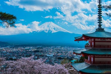 Fuji Dağı 'nın güzel manzarası  