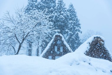 Shirakawago köyü - Japonya 'da kış manzarası. unesco Dünya Mirası