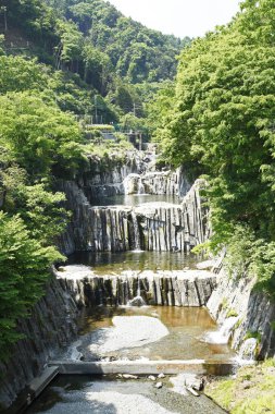 Japonya 'da şelale. Ormanda doğa arka planında.